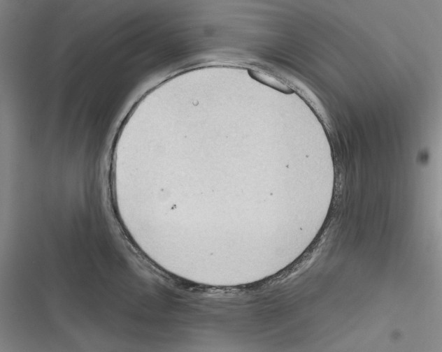 X0000116321146201001130958