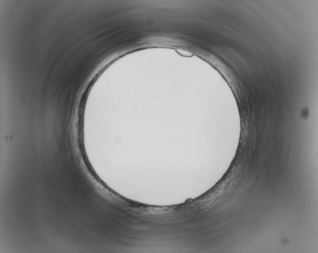 X0000116321147201001130958