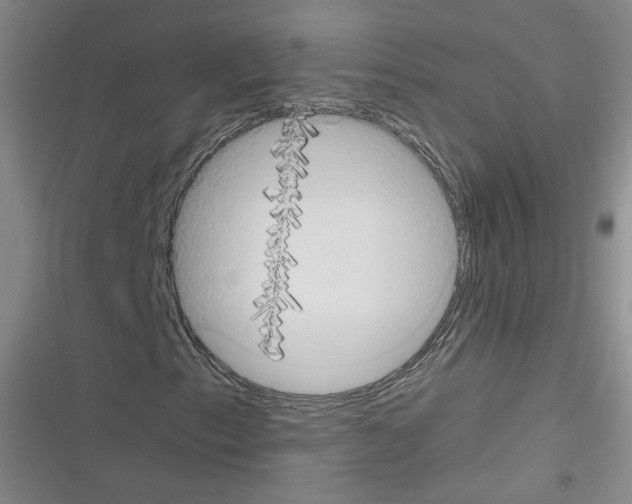 X0000116321153201001130957