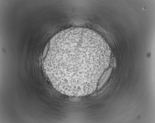 X0000116321155201001130957