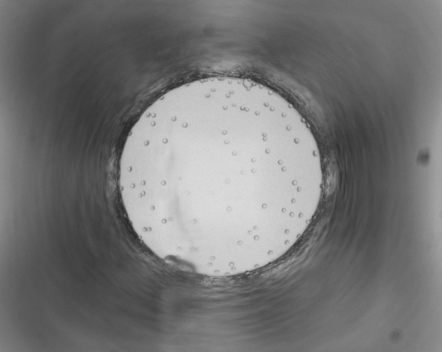 X0000116321156201001130957