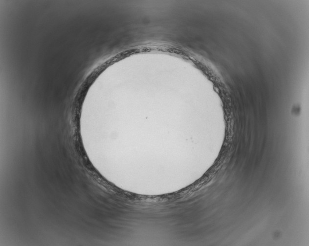 X0000116321160201001130957