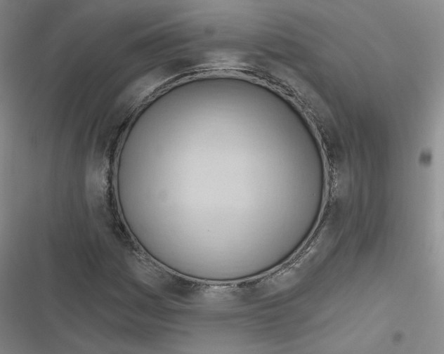 X0000116321161201001130957