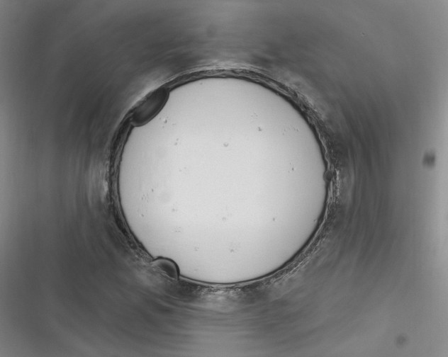 X0000116321165201001130957