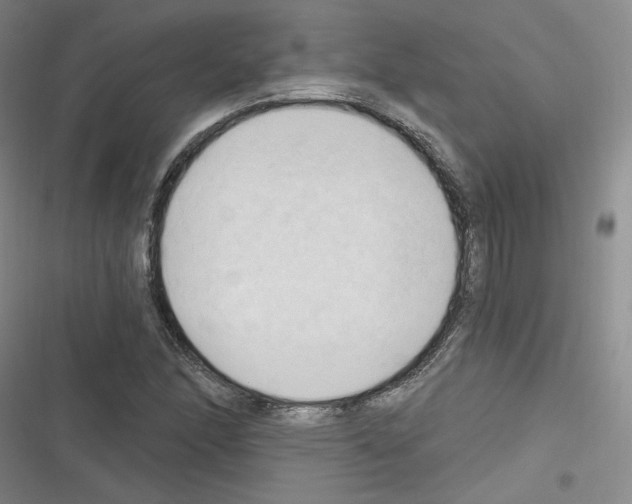 X0000116321166201001130957