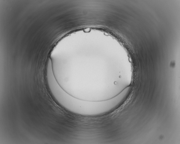 X0000116321169201001130957