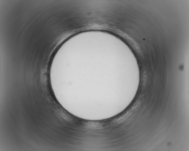 X0000116321170201001130957