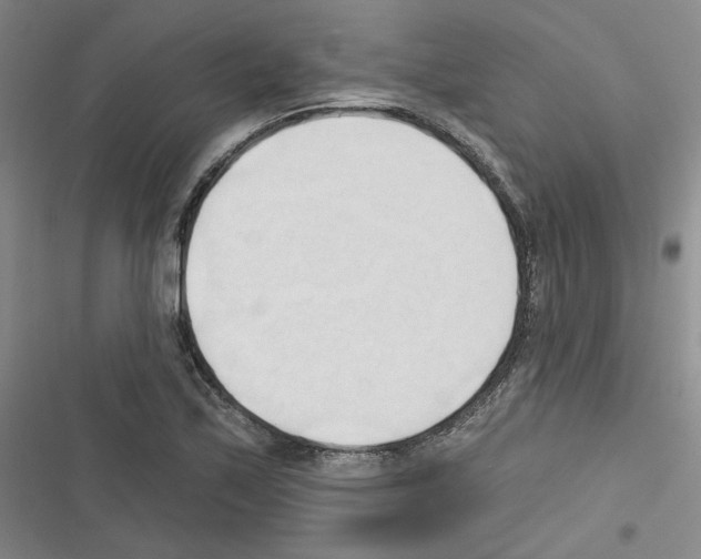 X0000116321171201001130957