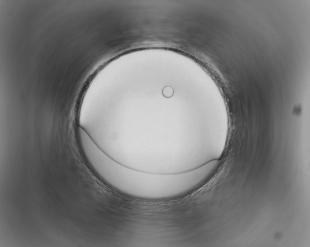 X0000116321173201001130957