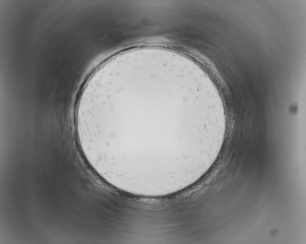 X0000116321176201001130957