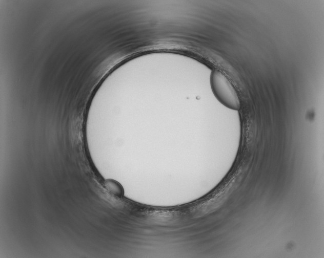 X0000116321177201001130957