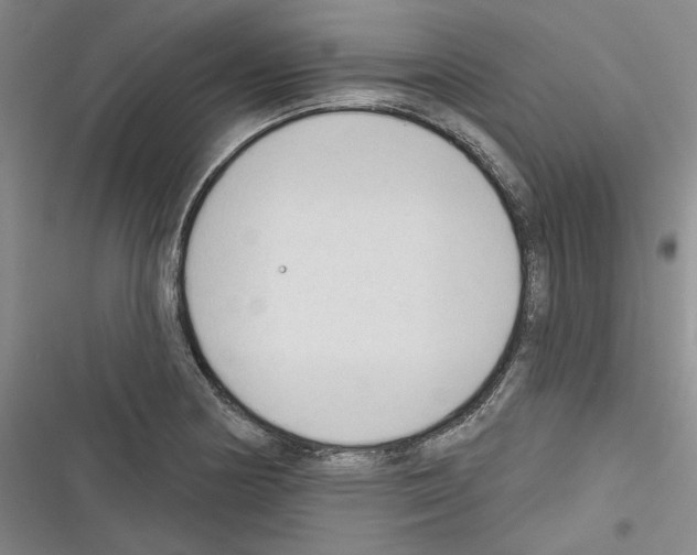 X0000116321178201001130957