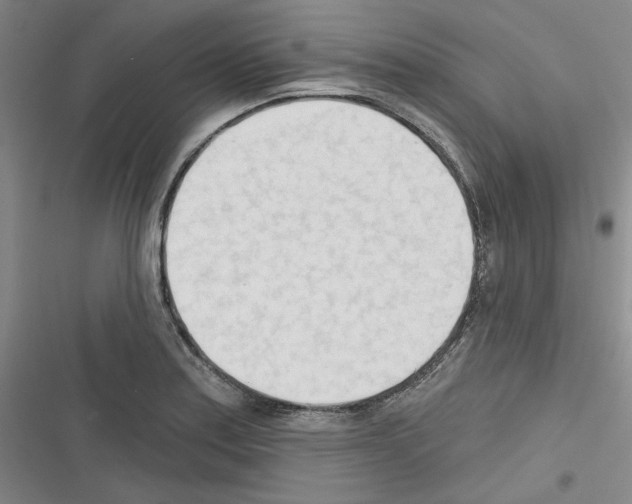 X0000116321179201001130957