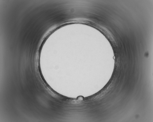 X0000116321180201001130957