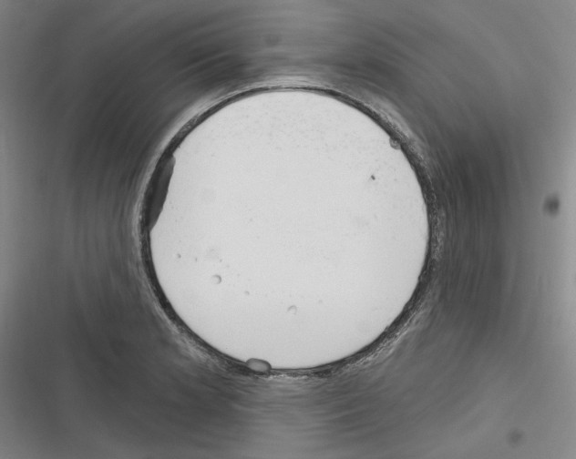 X0000116321181201001130957