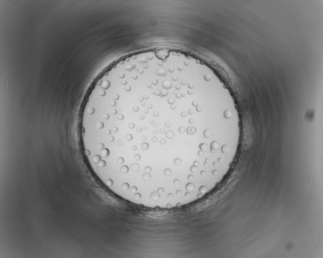 X0000116321182201001130957