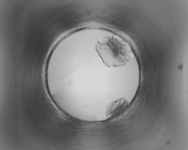 X0000116321183201001130957