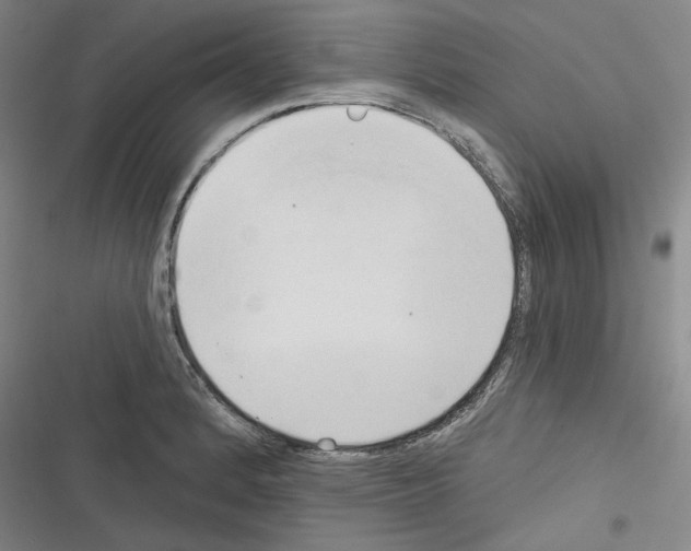 X0000116321184201001130957