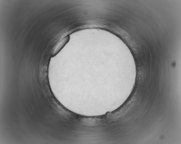 X0000116321185201001130957