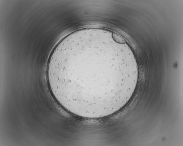 X0000116321186201001130957