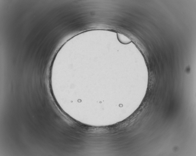 X0000116321187201001130957