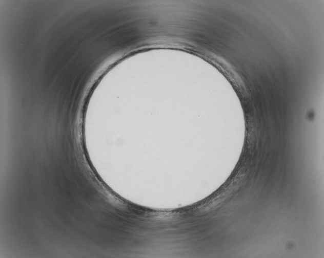 X0000116321188201001130957