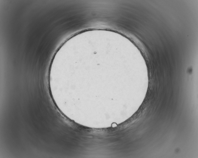 X0000116321191201001130957