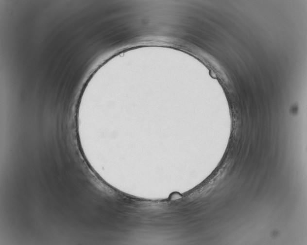 X0000116321192201001130957