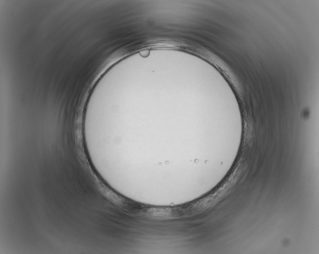 X0000116321194201001130957