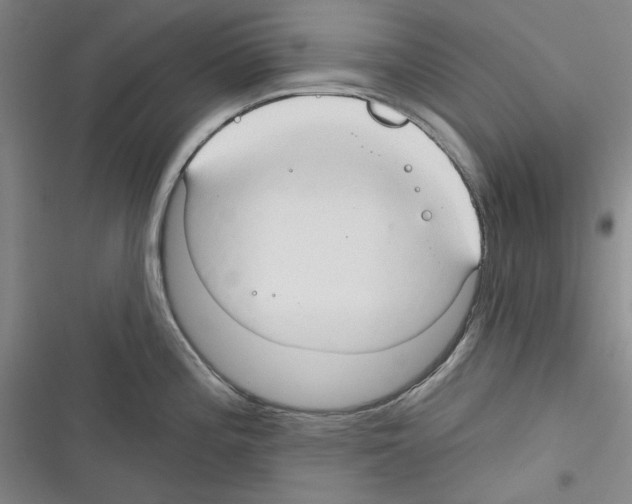 X0000116321196201001130957