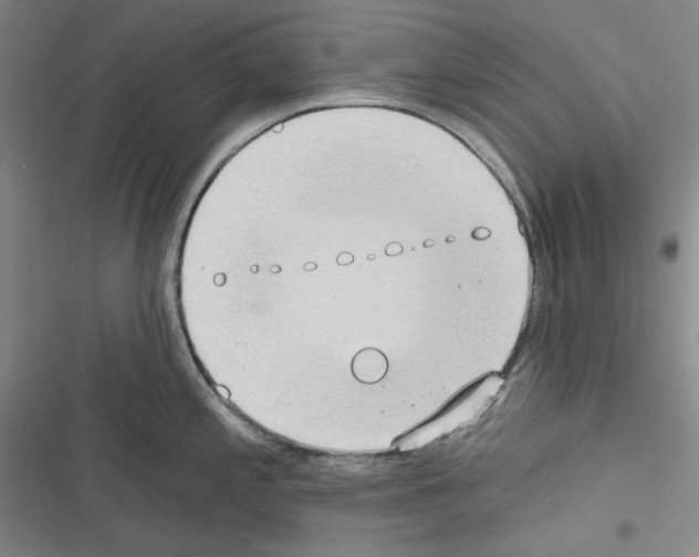 X0000116321197201001130957