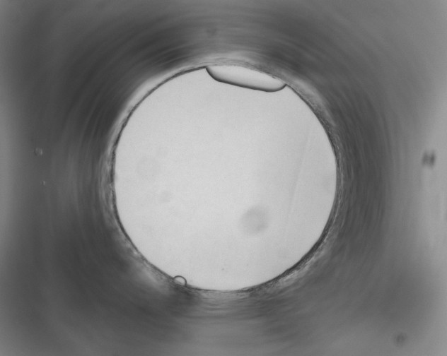 X0000116321200201001130957