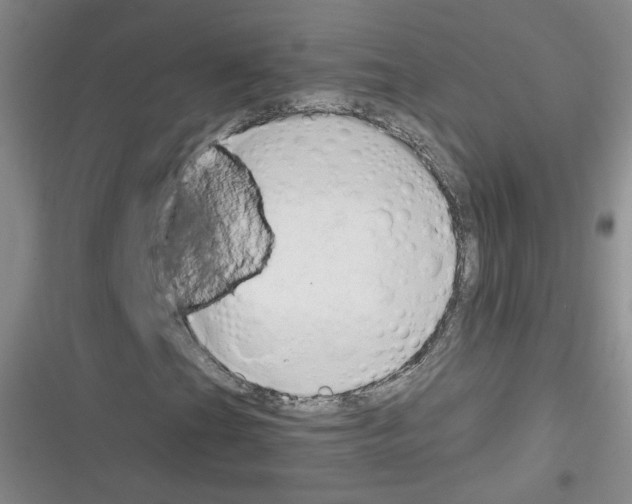 X0000116321201201001130956