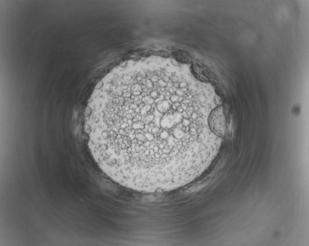 X0000116321203201001130956