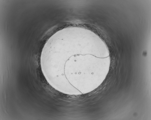 X0000116321205201001130956