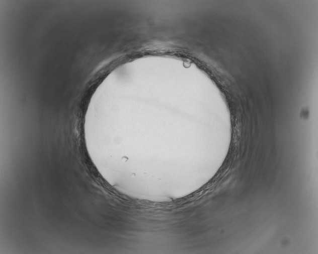 X0000116321206201001130956