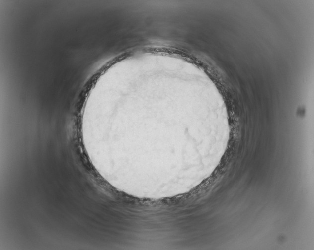 X0000116321208201001130956