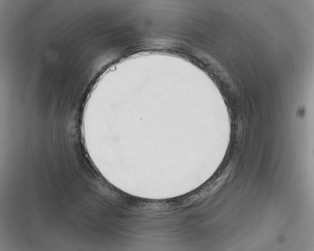 X0000116321210201001130956