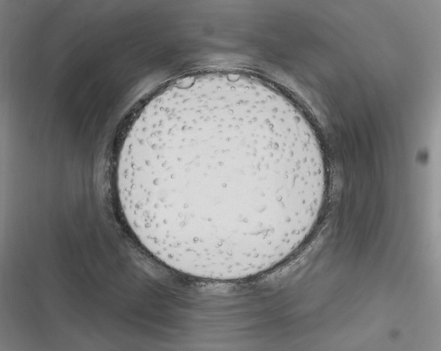 X0000116321211201001130956