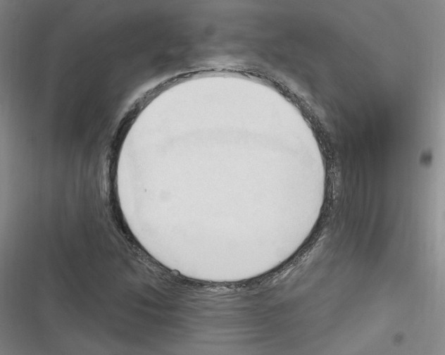 X0000116321214201001130956