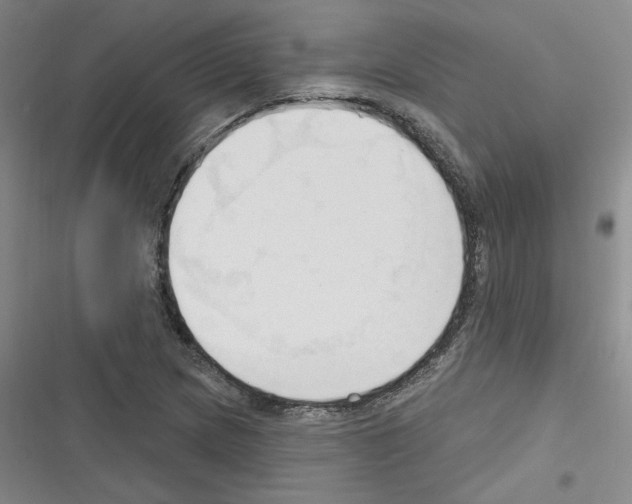 X0000116321217201001130956