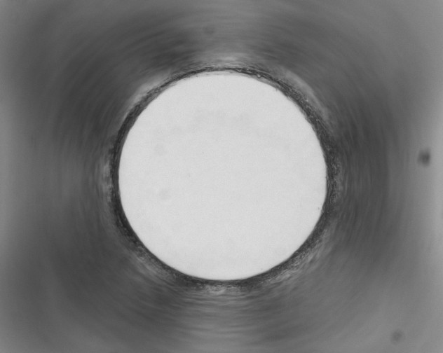 X0000116321218201001130956