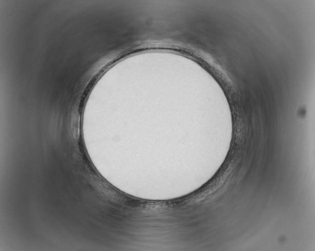 X0000116321221201001130956