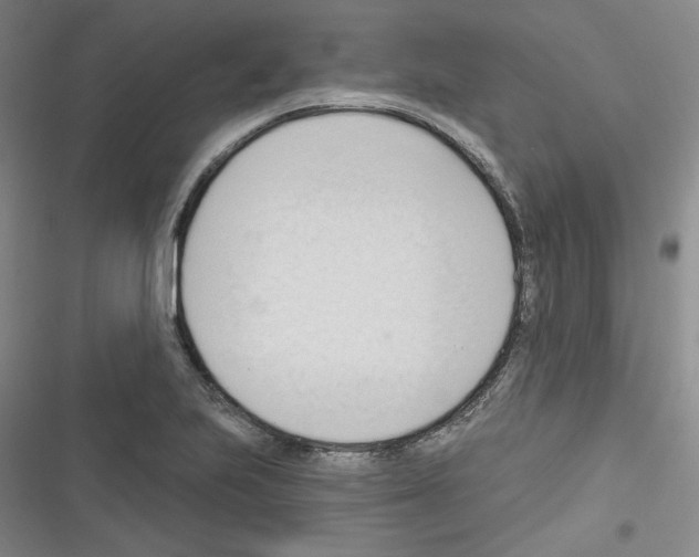 X0000116321223201001130956