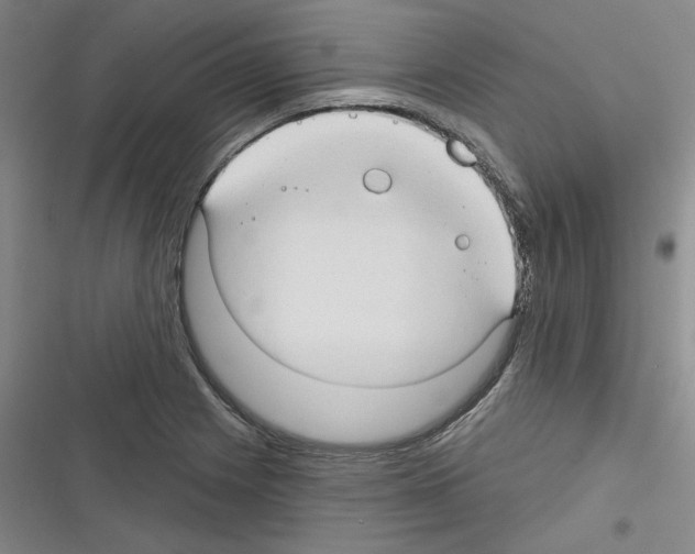 X0000116321225201001130956