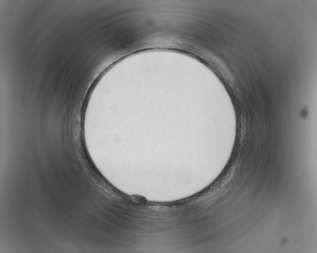 X0000116321226201001130956