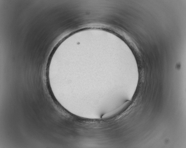 X0000116321229201001130956