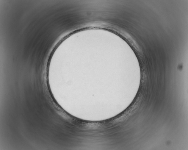 X0000116321232201001130956