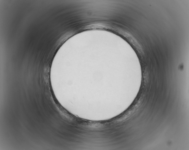 X0000116321233201001130957