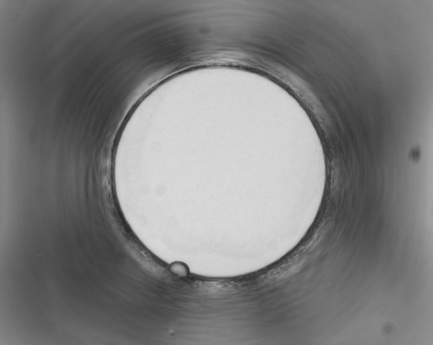 X0000116321234201001130957